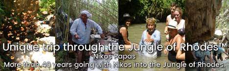 Activiteiten, Jungle Tour with Nikos